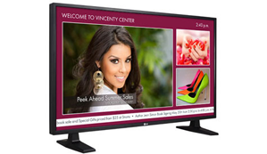 Full LCD Widescreen HD Capable Monitor